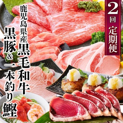 定期便(2回配送)鹿児島県産黒毛和牛・豚肉・一本釣りかつお DD-6004