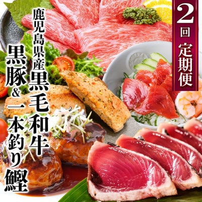 定期便(2回配送)鹿児島県産黒毛和牛・一本釣りかつお DD-6004