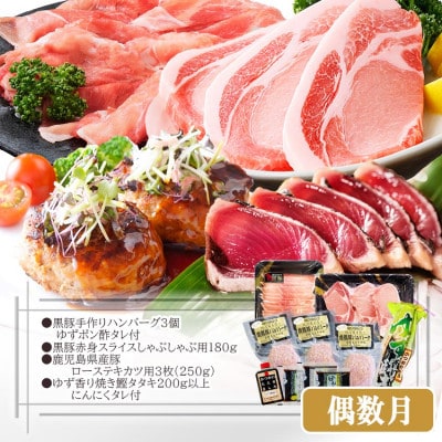 定期便(2回配送)鹿児島県産黒毛和牛・豚肉・一本釣りかつお DD-6004