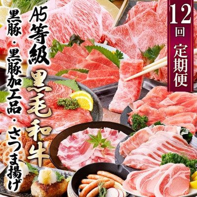 定期便(12回配送)枕崎お楽しみ便(A5等級黒毛和牛・黒豚・黒豚加工品・さつまあげ等)JJ-6003