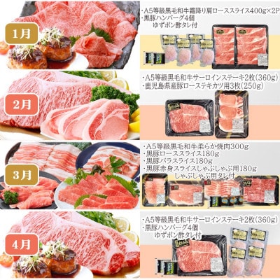 定期便(12回配送)枕崎お楽しみ便(A5等級黒毛和牛・黒豚・黒豚加工品・さつまあげ等)JJ-6003