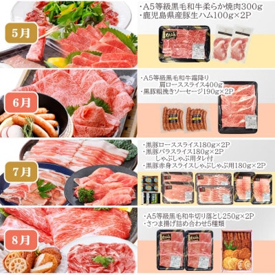 定期便(12回配送)枕崎お楽しみ便(A5等級黒毛和牛・黒豚・黒豚加工品・さつまあげ等)JJ-6003