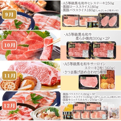定期便(12回配送)枕崎お楽しみ便(A5等級黒毛和牛・黒豚・黒豚加工品・さつまあげ等)JJ-6003