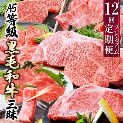 定期便(12回)鹿児島県産A5等級黒毛和牛三昧 JJ-0017