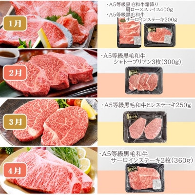 定期便(12回)鹿児島県産A5等級黒毛和牛三昧 JJ-0017