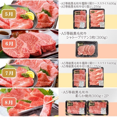 定期便(12回)鹿児島県産A5等級黒毛和牛三昧 JJ-0017
