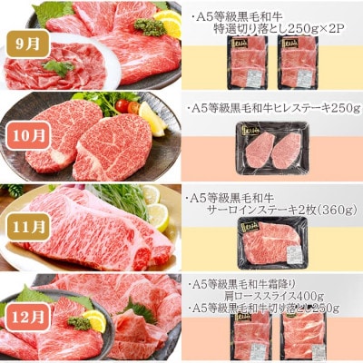 定期便(12回)鹿児島県産A5等級黒毛和牛三昧 JJ-0017