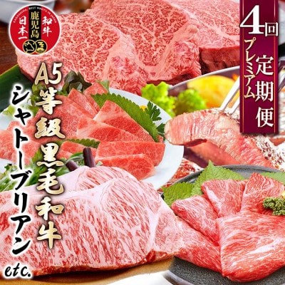 定期便(4回配送)A5等級黒毛和牛シャトーブリアン・サーロインステーキetc GG-0030