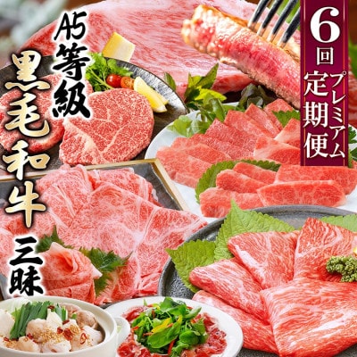 定期便(6回配送)A5等級鹿児島県産黒毛和牛 II-0016