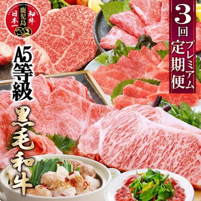 プレミアム　A5等級黒毛和牛定期便(3回配送) FF-0055