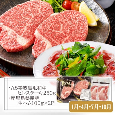 プレミアム　A5等級黒毛和牛定期便(3回配送) FF-0055