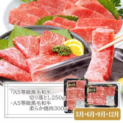 プレミアム　A5等級黒毛和牛定期便(3回配送) FF-0055