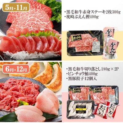 定期便(6回)枕崎お楽しみ便(黒毛和牛・まぐろ・かつおetc) GG-0046
