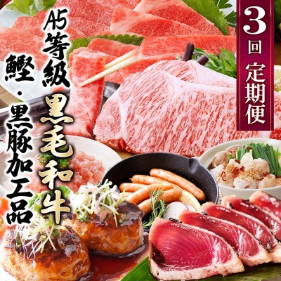 【さとふる限定】定期便(3回配送)枕崎お楽しみ(A5等級黒毛和牛&かつお・黒豚加工品)EE-0056
