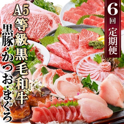 定期便(6回)A5等級黒毛和牛・黒豚・かつお・まぐろ FF-0058