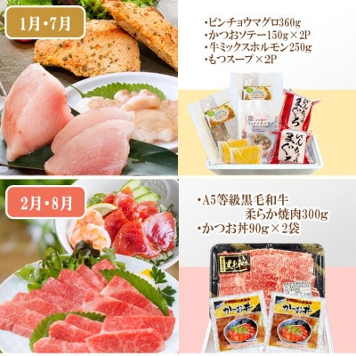 定期便(6回)A5等級黒毛和牛・黒豚・かつお・まぐろ FF-0058