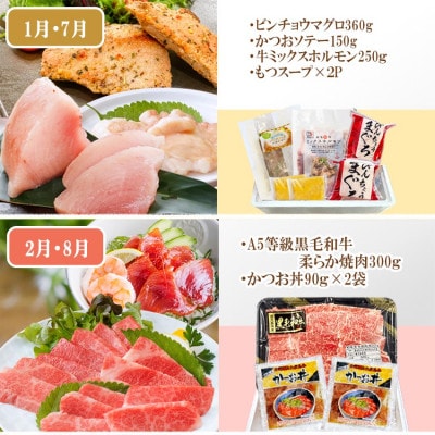 定期便(6回)A5等級黒毛和牛・黒豚・かつお・まぐろ FF-0058