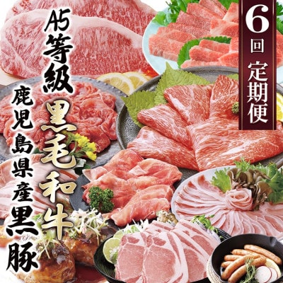 定期便(6回)A5・A4等級黒毛和牛・黒豚etc FF-0061
