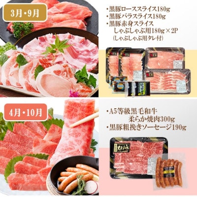 定期便(6回)A5・A4等級黒毛和牛・黒豚etc FF-0061