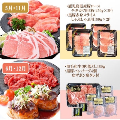 定期便(6回)A5・A4等級黒毛和牛・黒豚etc FF-0061