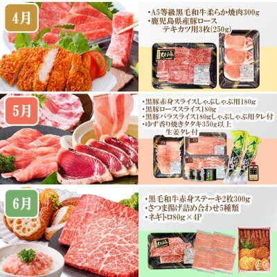 定期便(10回)枕崎お楽しみ便(黒毛和牛・黒豚・まぐろ・かつお・さつまあげ等)II-0025