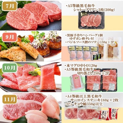 定期便(10回)枕崎お楽しみ便(黒毛和牛・黒豚・まぐろ・かつお・さつまあげ等)II-0025