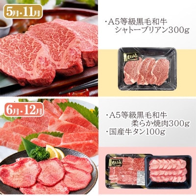 定期便(6回)鹿児島県産A5等級黒毛和牛シャトーブリアン・サーロインステーキetc　HH-6001