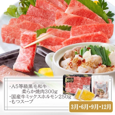 定期便(3回配送)枕崎お楽しみ便(黒毛和牛・黒豚ハンバーグ・まぐろ　かつお丼) LL-6005