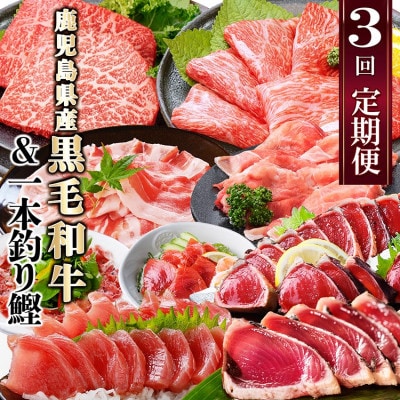 定期便(3回配送)枕崎お楽しみ便(黒毛和牛・一本釣りかつおたたき・さしみ) LL-6006
