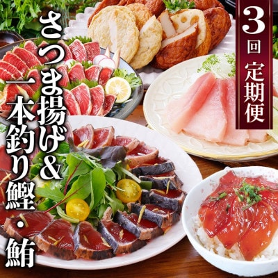 定期便(半年で3回)さつま揚げ&鮮度抜群な一本釣りかつお・まぐろ LL-6007