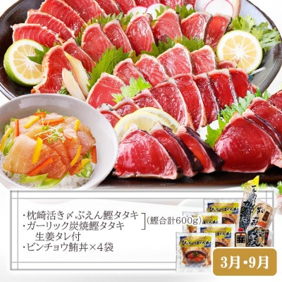 定期便(半年で3回)さつま揚げ&鮮度抜群な一本釣りかつお・まぐろ LL-6007