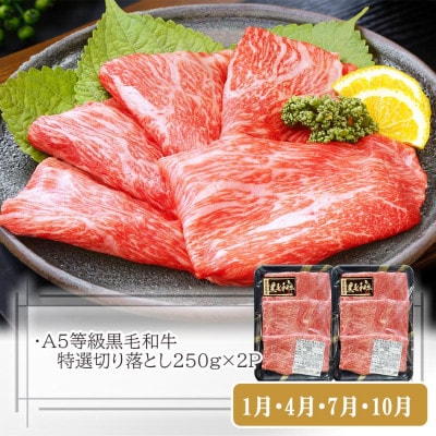 定期便【3回配送】枕崎お楽しみ便(A5黒毛和牛・黒豚ハンバーグ・かつお丼)LL-6037