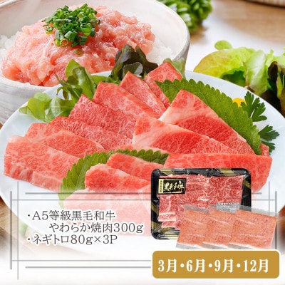 定期便【3回配送】枕崎お楽しみ便(A5黒毛和牛・黒豚ハンバーグ・かつお丼)LL-6037