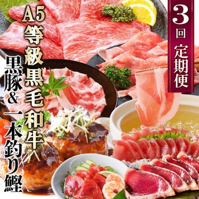 定期便(3回配送)黒毛和牛・黒豚・カツオ LL-6036