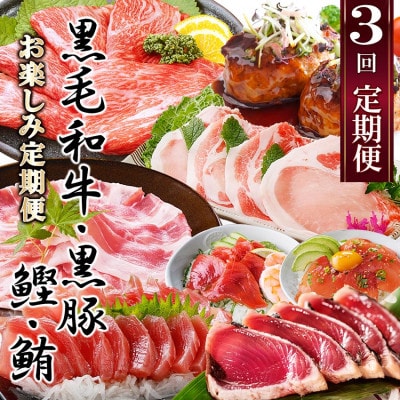 定期便3回配送　お楽しみ定期便(黒毛和牛・黒豚・かつお・まぐろ) LL-6014