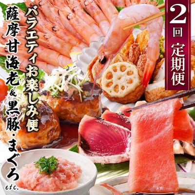 定期便2回配送　お楽しみバラエティ定期便(鹿児島県産黒豚・鮪etc) DD-6008