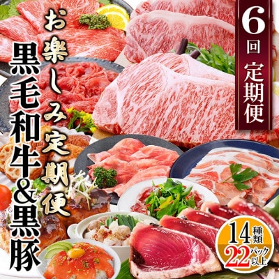 定期便(6回配送)　枕崎お楽しみ定期便(黒毛和牛・黒豚・加工品etc) FF-6003