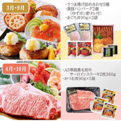 定期便(6回配送)　枕崎お楽しみ定期便(黒毛和牛・黒豚・加工品etc) FF-6003