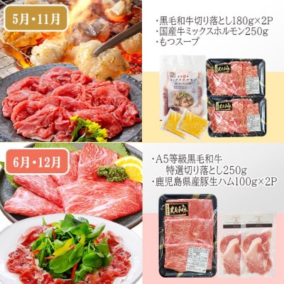 定期便(6回配送)　枕崎お楽しみ定期便(黒毛和牛・黒豚・加工品etc) FF-6003