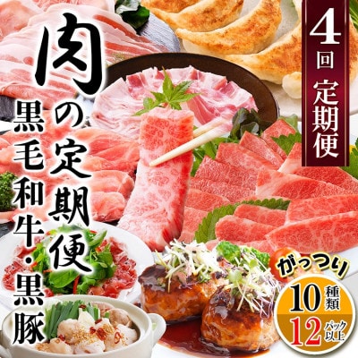 定期便4回配送　肉の定期便 EE-6016