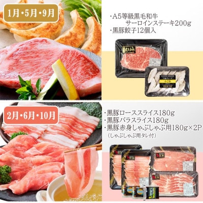 定期便4回配送　肉の定期便 EE-6016