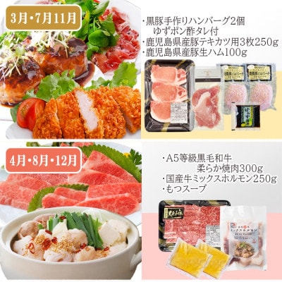 定期便4回配送　肉の定期便 EE-6016