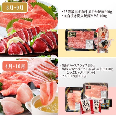 定期便6回配送 【当店限定】ごちそうまんきつセット FF-6004