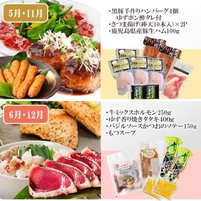 定期便6回配送 【当店限定】ごちそうまんきつセット FF-6004