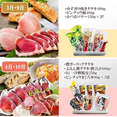 枕崎・お魚よりどり詰め合わせ定期便(6回配送)　FF-6005