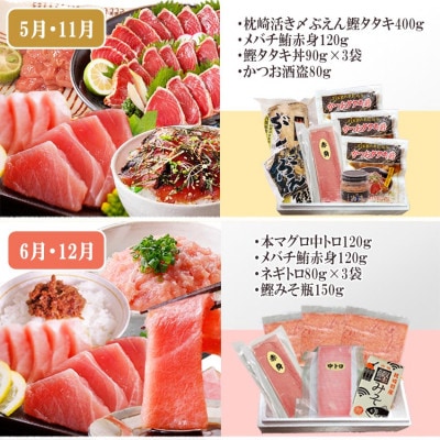 枕崎・お魚よりどり詰め合わせ定期便(6回配送)　FF-6005