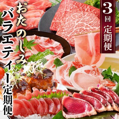 定期便(3回配送)　お楽しみバラエティー定期便 LL-6017