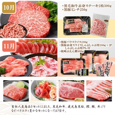 定期便8回配送　ぜいたく!!お楽しみ定期便　HH0-0001
