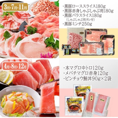 定期便4回配送　お肉とお魚のよくばり定期便　EE0-0001