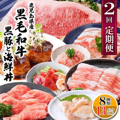 定期便2回配送　鹿児島県産黒毛和牛・黒豚　CC0-0001